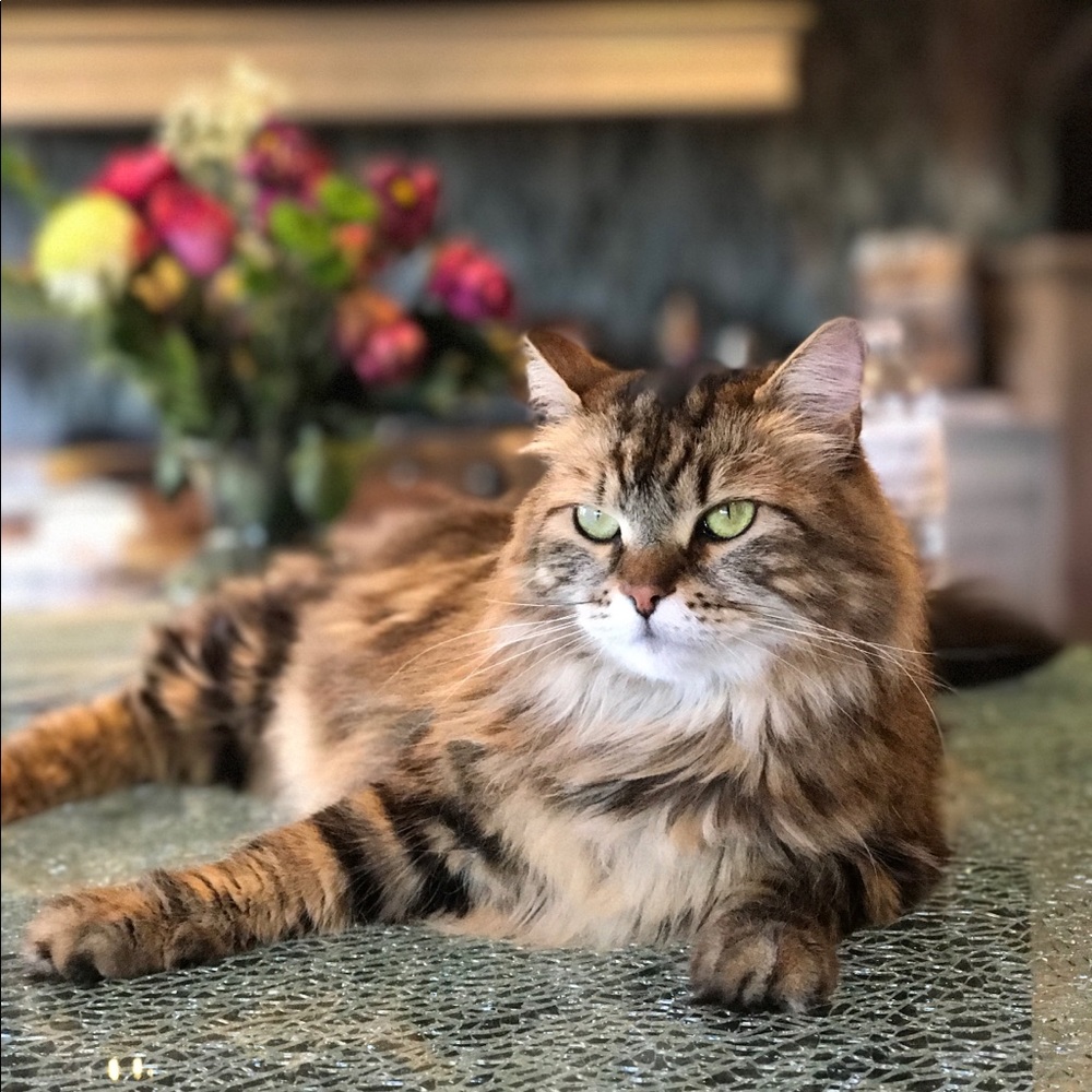 Meet your Posher, Mika